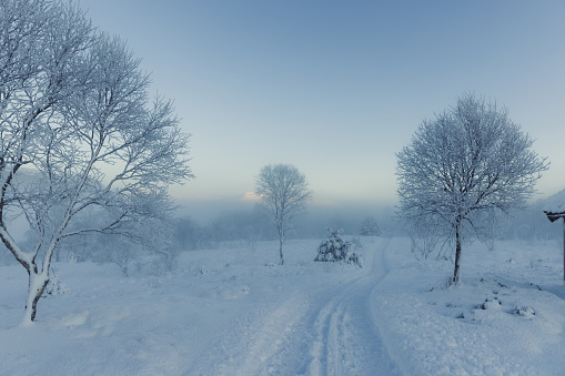 Dramatic view of the footpath in the deep snow by the forest with mountain view during sunset in Scandinavia