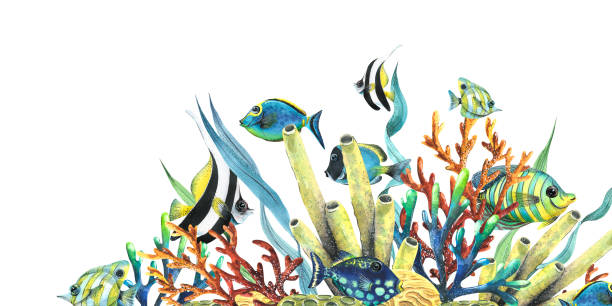 istock Sea sponges, corals, algae and tropical, bright fish. Watercolor illustration. Composition from the collection of TROPICAL FISH. For decoration and design of summer and beach prints, decor. 1455283183