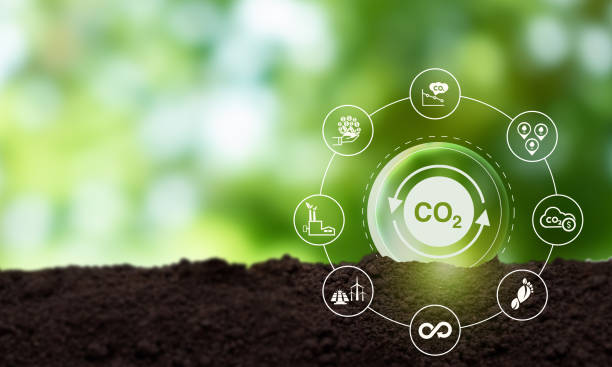 Carbon neutrality concept. Green business transformation and commitment for balancing between emitting carbon and absorbing carbon from the atmosphere. Climate change,environment and carbon management stock photo