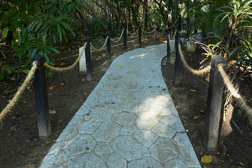 selective focus on a stone path in a tropical forest with rope fences and sun glare.