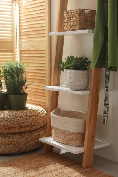 istock Different potted herbs in room. Interior design 1455288668