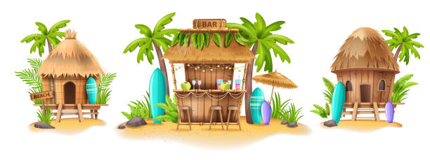 illustrazioni stock, clip art, cartoni animati e icone di tendenza di casa baracca sulla spiaggia, tavola da surf bar capanna di bambù hawaiana, bungalow per surf vettoriale, piante tropicali. - hut