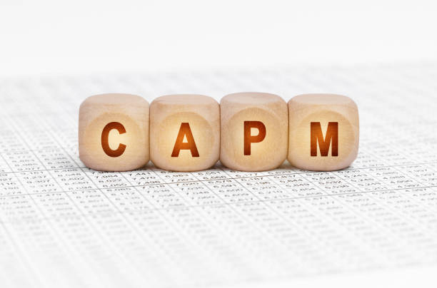 istock On the table with documents are wooden cubes with the inscription - CAPM 1455289492