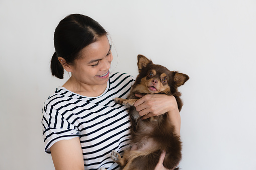 young woman hugging and showing some love to his puppy at home , isolate white background . Female pet lover with domestic animal