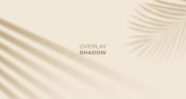efekt nakładki cienia rolety przeciwsłonecznej z liśćmi palmowymi - beige stock illustrations