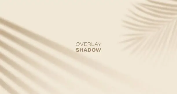 Vector illustration of Shadow overlay effect of sun blind with palm leaves