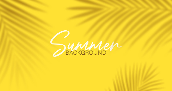 Shadows of palm leaves on vibrant colored backgrounds. Mockup with palm leaves shadow