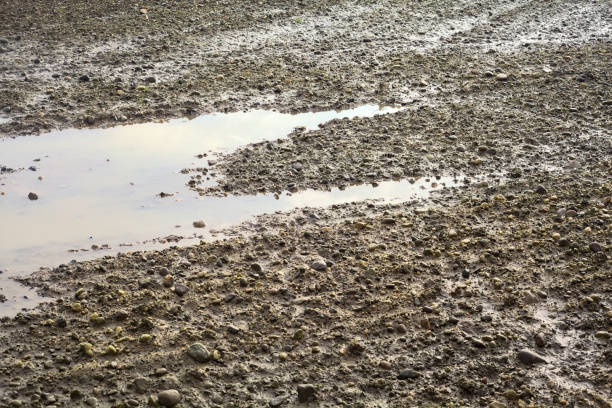 istock Puddle in a cultivated field seen up close 1455296424