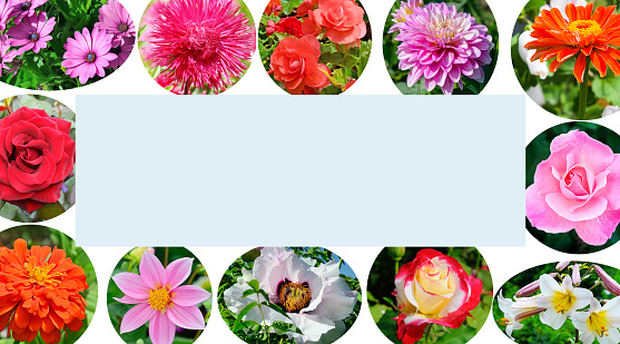 Photo collage of garden flowers photos. Beautiful frame with free space for text.