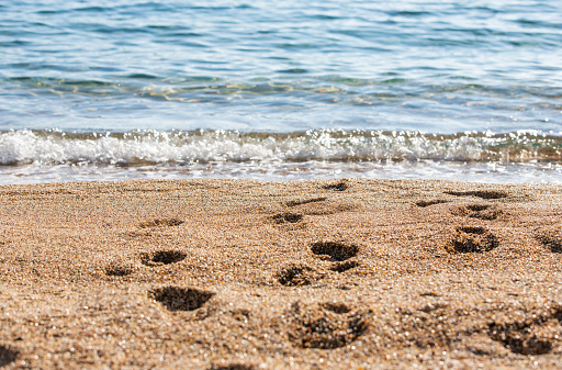 Two handprints on sand on beach
