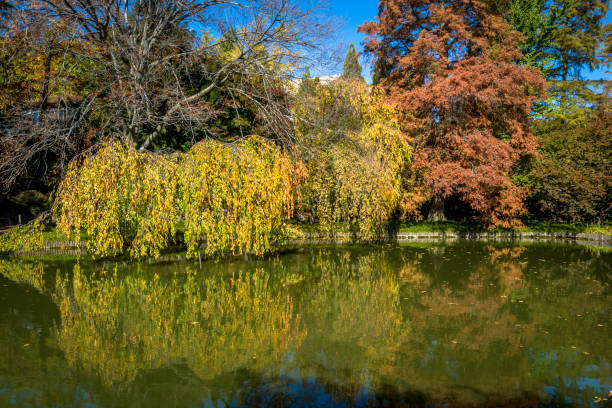 Japanese Hill-and-Pond Garden, Brooklyn Botanic Garden, founded in 1910,  New York City, USA