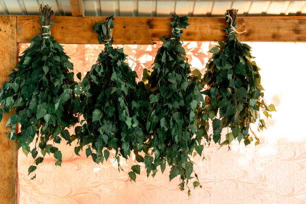 Birch brooms hanging on the wall.