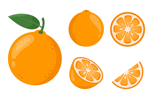 Cartoon illustrations of ripe fresh orange. Whole citrus and slices set. Organic fruits theme. Vector illustration isolated on white background.
