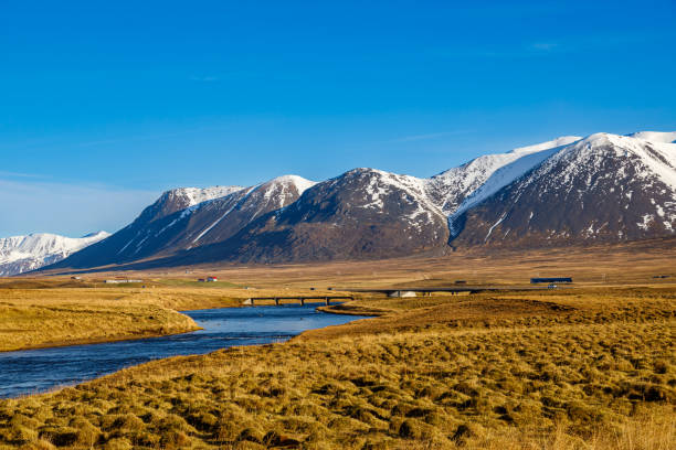 istock Vididalsa river valley in northern Iceland 1455303081
