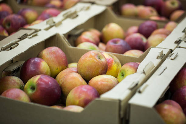 istock apples in crates on supermarket 1455303998