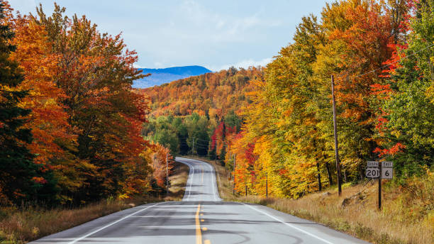 istock Autumn road in Maine 1455304084