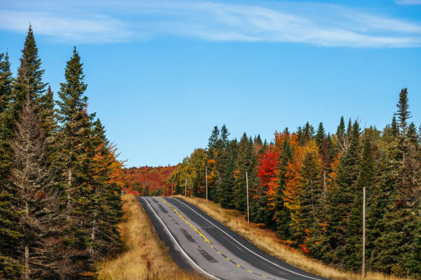 istock Autumn road in Maine 1455304088