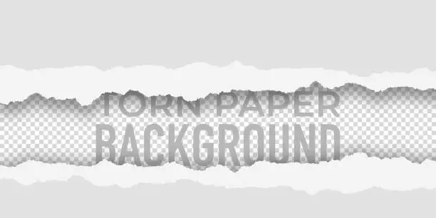 Vector illustration of Ripped paper, torn in pieces vector background. White blank sheet with ragged edge. Paper surface torned illustration.