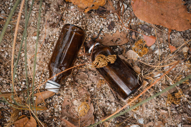istock Garbage in nature. Two glass bottles in the jungle. 1455305798