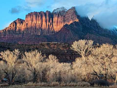 Mount Kinesava in Zion National Park seen from along  the Virgin River on a ranch and backlit cottonwood trees at dusk