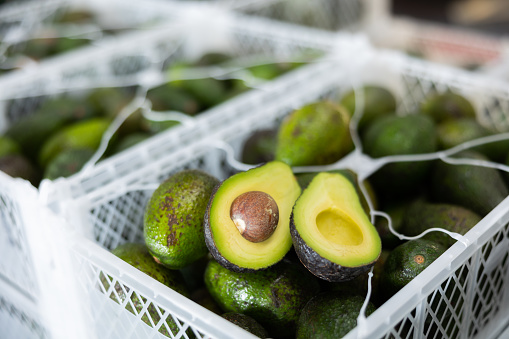 Closeup of two halves of ripe fleshy hass avocado lying on plastic boxes with selected avocados in fruit sorting and packaging warehouse
