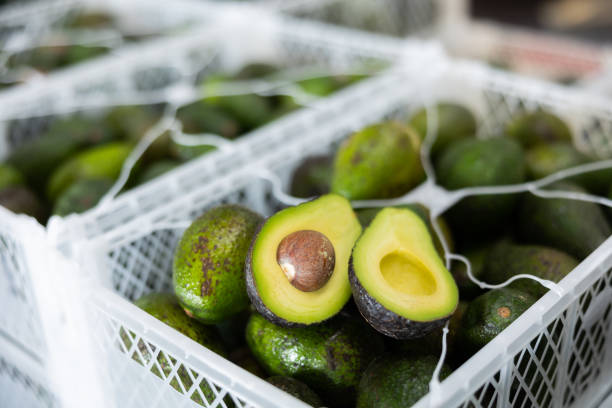 Two halves of ripe hass avocado on box with selected avocados stock photo