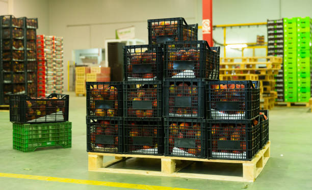 istock Stacks of fruit boxes with fresh peaches in storage warehouse 1455311923