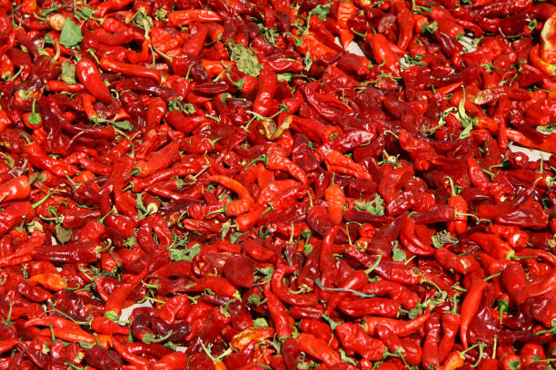 Chili peppers are drying in the sun, Gaziantep, Turkey stock photo