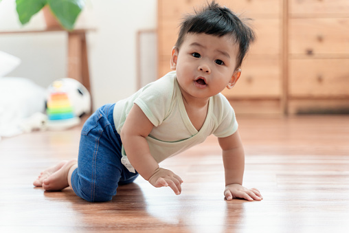 Portrait of cute Asian baby boy crawling on the floor at home, smiling and looking at camera. Asian family baby domestic life concept.
