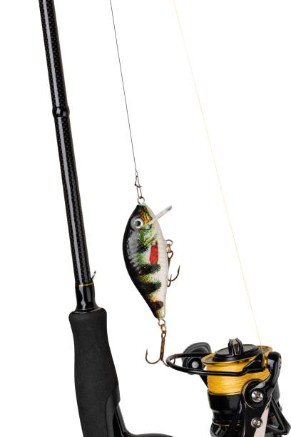istock Spinning rod, reel and fishing baits 1455314517