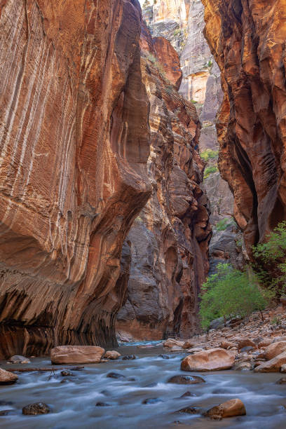 istock Flowing down the Narrows 1455316283
