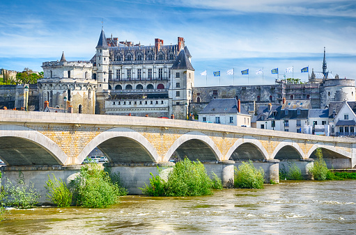 View of the castle garden and town Langeais. Loire Valley France.