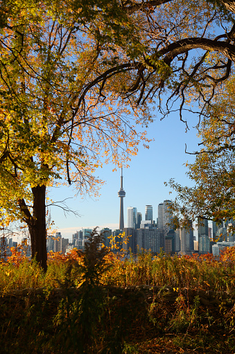 View of Downtown Toronto skyline with the CN Tower and the Financial District skyscrapers at sunset.