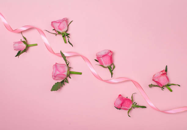 istock Roses and ribbon on pink background with copy space. 1455318147