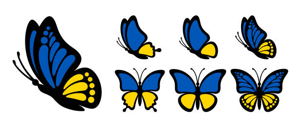 Black outline butterfly with blue yellow wings Black outline butterfly with blue yellow wings isolated on white background. Side view vector graphic illustration. Patriotic concept is perfect for Ukraine patriot sticker, icon and decoration design butterfly stock illustrations