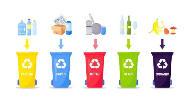Vector illustration of Waste collection, segregation and recycling. Garbage separated into different types and collected into waste containers. Each bin for different material