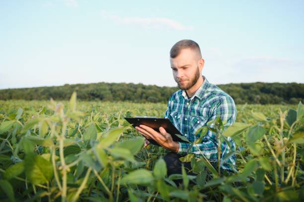 istock Young agronomist holds tablet touch pad computer in the soy field and examining crops before harvesting. Agribusiness concept. agricultural engineer standing in a soy field with a tablet in summer. 1455325014