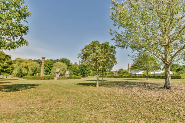 istock a park with trees and a building in the background 1455325256