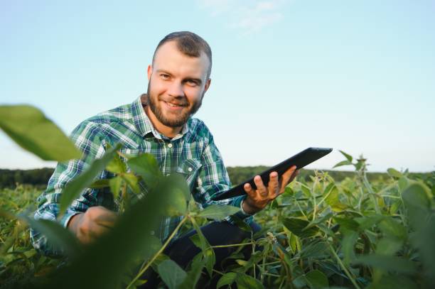 istock Young agronomist holds tablet touch pad computer in the soy field and examining crops before harvesting. Agribusiness concept. agricultural engineer standing in a soy field with a tablet in summer. 1455325259