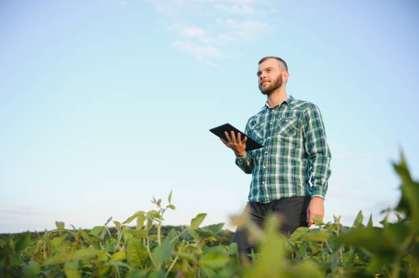 istock Young agronomist holds tablet touch pad computer in the soy field and examining crops before harvesting. Agribusiness concept. agricultural engineer standing in a soy field with a tablet in summer. 1455325262