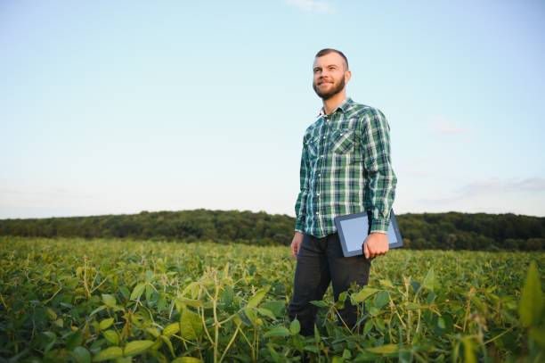 istock Young agronomist holds tablet touch pad computer in the soy field and examining crops before harvesting. Agribusiness concept. agricultural engineer standing in a soy field with a tablet in summer. 1455325330