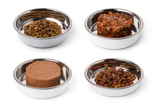 istock tinned cat food 1455326369