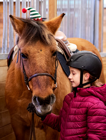Young girl admires her horse, who is wearing a Christmas hat