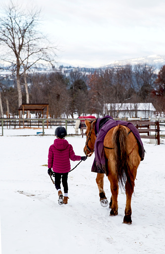 Mid-adult man driving sleigh while young adult Caucasian couple look back at viewer.