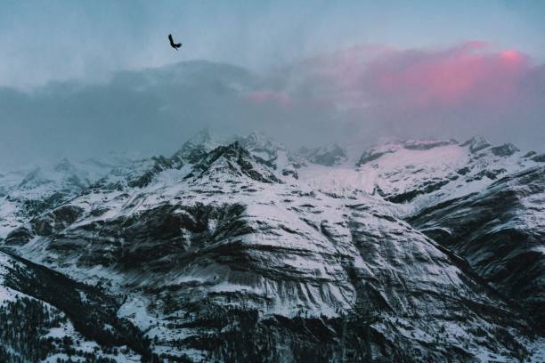 istock Sunrise at Matterhorn, Zermatt 1455328268