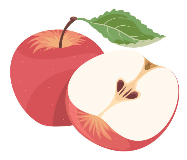 red äpfel - apfel stock-grafiken, -clipart, -cartoons und -symbole