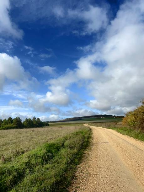 istock Burgundian Road 1455334088