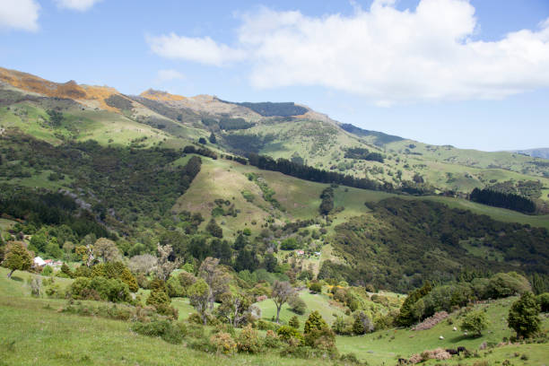 istock Akaroa Resort Town Green Mountains 1455334211