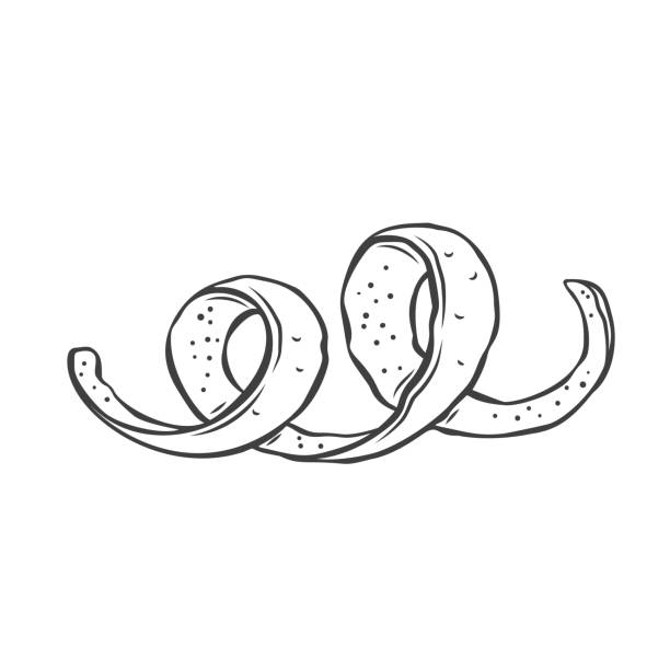 Spiral Lemon Peel Line Icon vector art illustration