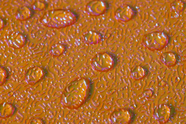 istock Water drop on a hologram sheet fills in a whole screen. 1455335670